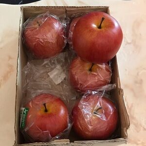 Extra large Realistic Artificial Red Apples - Pack of 6